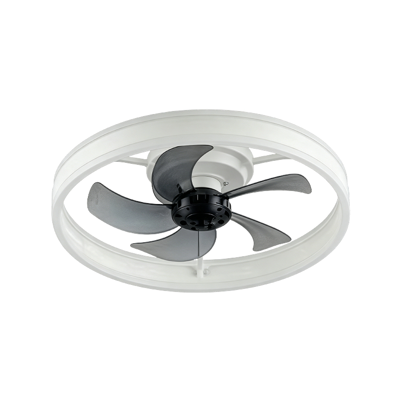 Stropní ventilátor Downrod se světlem Stropní ventilátor Downrod se světlem