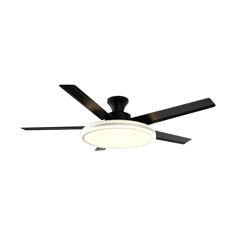 Konvenční ventilátorová lampa Konvenční ventilátorová lampa